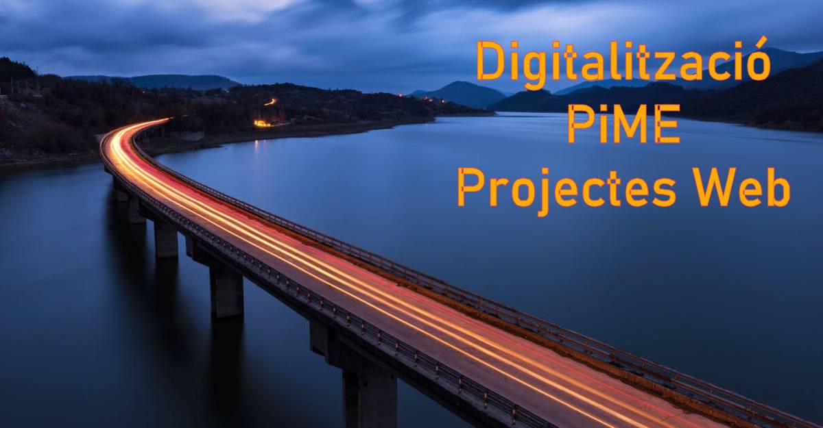 Digitalitzacio Pime - Projectes web integrals