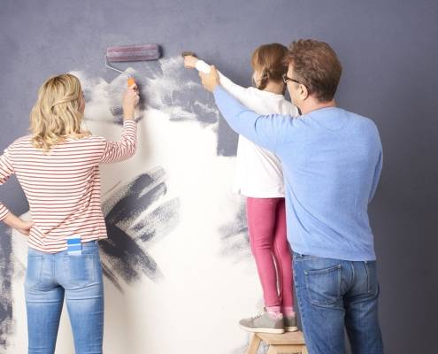 Pintures professionals