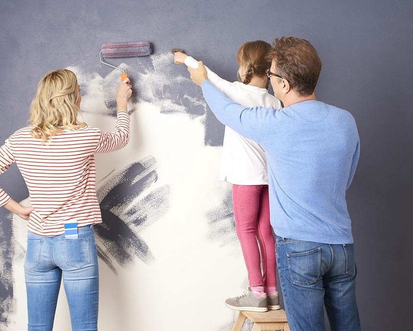 Pintures professionals