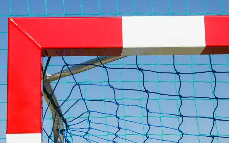 El principal factor de posicionament web és el compromís amb el projecte.