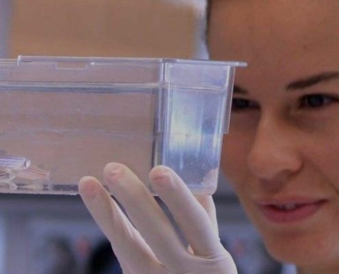 SEO per a biotecnològica ZeClinics - Investigació sobre nous medicaments mitjançant peixos zebra i metodologia CRISPR/CAS9
